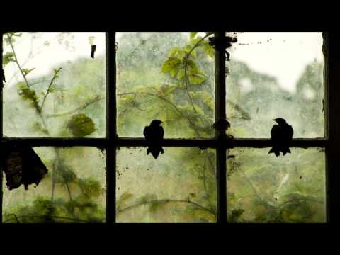 Jose Tabarez - Birds (Original Mix)