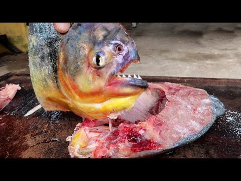 image-Is it safe to eat piranha?
