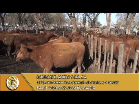 22-06-18 Venta de Vientres - Hourcade, Albelo y Cía. S.A. - Rauch