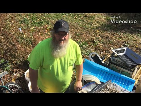 Running tailings from earlier this year on my tubby Concentrator! From Spike Strike prospecting