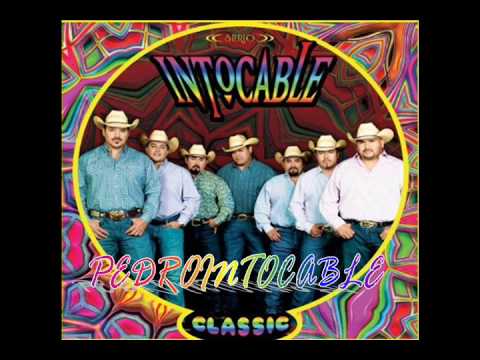 Capullito de Rosa - Intocable