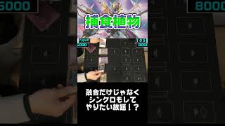 令和の捕食植物はシンクロもする！【遊戯王 対戦動画】【四畳半同好会】 #遊戯王  #デュエル動画  #対戦動画