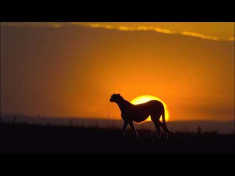 Blugazer & The Cynic Project - Feel Me Wondering (LTN Sunrise Remix)