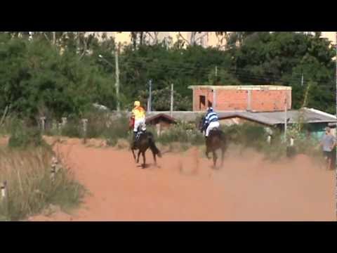 2º Páreo - 1º/04/2012