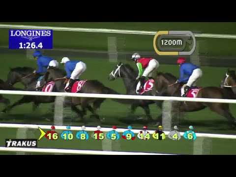 08.03.2014 Meydan (Dubai-UAE) 6.Race Dubai City Of Gold 2014 - Group II 2.410 m