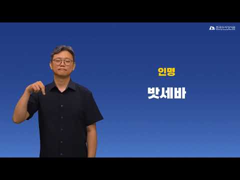밧세바 수어