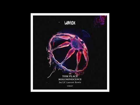 Tom Place - Destructive Sequences (JC Laurent Remix) [WRK037]