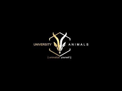 Promo || 01 | 05 | 15 || University Animals || ArkiFESTA en BACKStage Bilbao