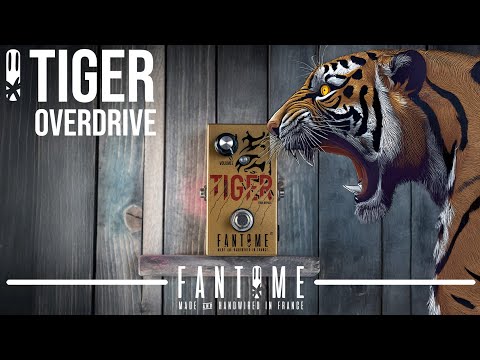 Fantome TIGER - overdrive image 6