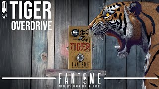 Video thumbnail for Fantome TIGER (overdrive) par Valentin by Fantome FX