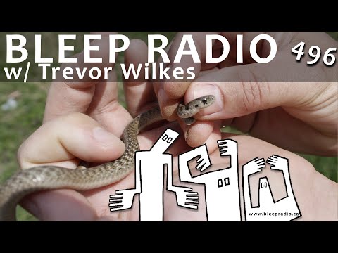 Bleep Radio #496 w/ Trevor Wilkes [Dekay Set To Captured]