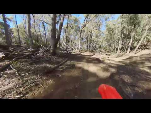 Slow and Steady - Jabz Track V02