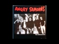 Angry Samoans - Right side of my mind