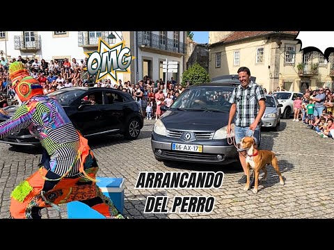 Ladron vs Perro - Karcocha en 🇵🇹