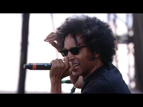 Alice In Chains Live at Sonisphere in 2014