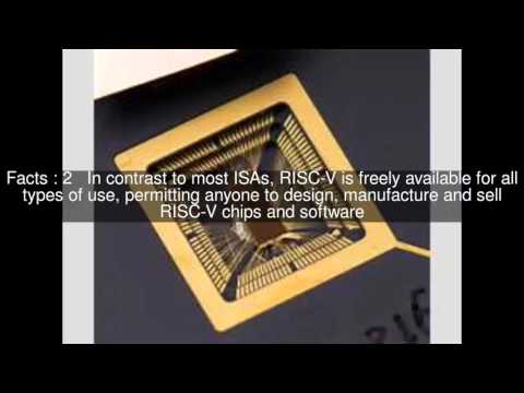 RISC-V Top  #7 Facts