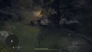 ゆったりドラゴンズドグマ2