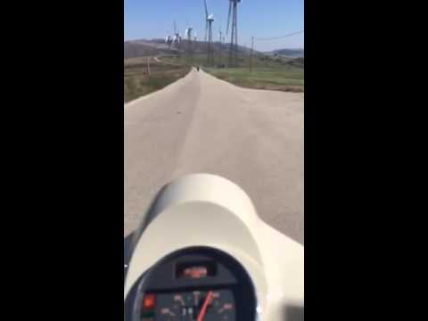 Vespisti di Scampitella (AV)