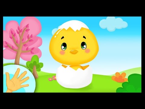 Comptinette du petit poussin - comptine à gestes