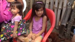 México Social - Enfermedades Emergentes Transmitidas por Vector (19/04/2016)