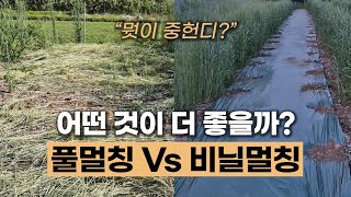 풀멀칭 Vs 비닐멀칭 비교 어떤 것이 더 좋을까?