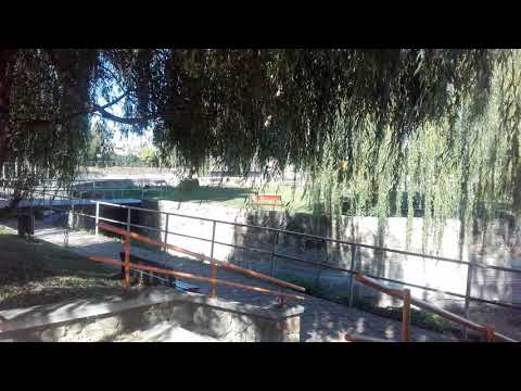 Trenul R 5404 Paşcani-Bacău