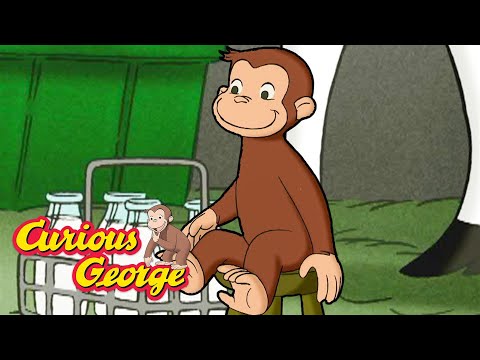 Let's Take Care of Animals! 🐵 Curious George 🐵 Kids Cartoon 🐵 Kids Movies