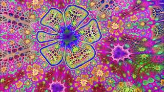 Oliver Coates -  Timelapse Walrus