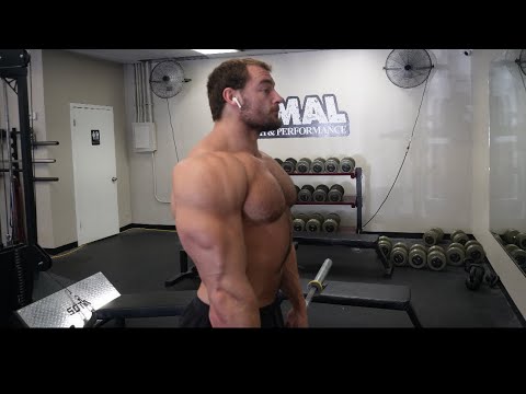 20 Inch Arm Workout | Shane Hunt