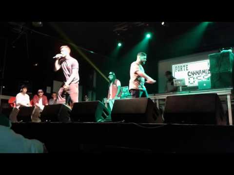 Molymaker Vs Forte (CANNAMED)