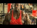 Ronnie Coleman Whatsapp Status Ronnie Coleman Workout Motivation