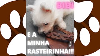 COITADINHA DA RASTEIRINHA