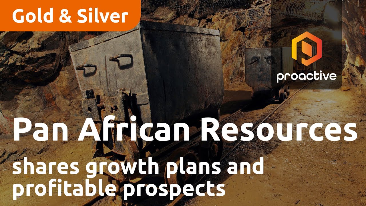 Pan African Resources CEO Shares Growth Plans and Profitable Prospects in Gold Mining Industry