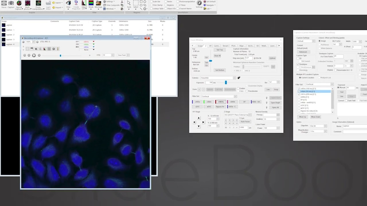 Precision Imaging with 3i Spinning Disk Confocal-Image channels and display properties (Part 8)