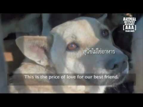 download lagu mp3 mp4 Dog Meat Trade, download lagu Dog Meat Trade gratis, unduh video klip Dog Meat Trade