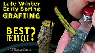 Download lagu BEST GRAFTING TECHNIQUE in early SPRING? | Grafting Fruit Trees mp3 Download lagu BEST GRAFTING TECHNIQUE in early SPRING? | Grafting Fruit Trees mp3