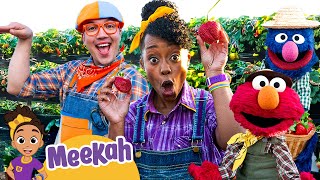 Meekah and Elmo's Strawberry Farm Adventure! | Blippi x Sesame Street | Educational Videos for Kids