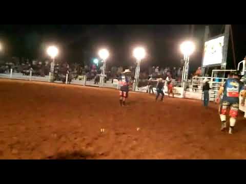 Santa Inês PR Japonespreto 2018