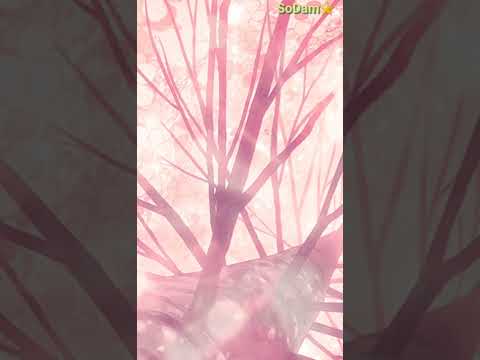 The Air That I Breathe Maroon 5 #maroon5 #TheAirThatIBreathe