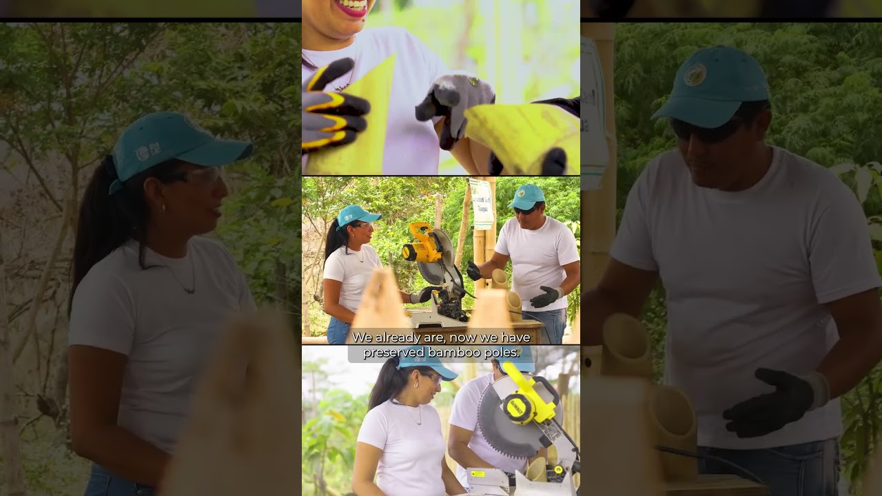 Medida AbE en Manejo Sostenible de Bambú
