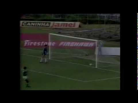 Palmeiras 3 x 0 Botafogo-SP - Campeonato Paulista 1989