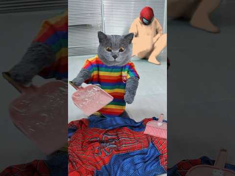 🥺PLS Join Oscar In Protecting Furry Animals💕 #funnycat #funnymemes #trending