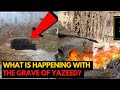 What is Happening With The GRAVE OF YAZEED? ALLAH O AKBAR | Islamic Lectures