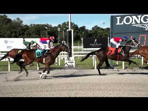 211114 c05 STRANGE AVE