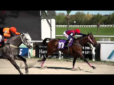 210917 c03 - PERLA DEL SABA - HIPODROMO LAS PIEDRAS