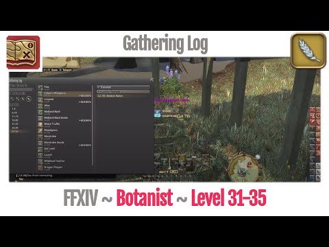 FFXIV Botanist Gathering Log Level 31-35 - A Realm Reborn