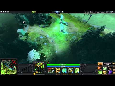 DotA 2: High Level Support and Warding