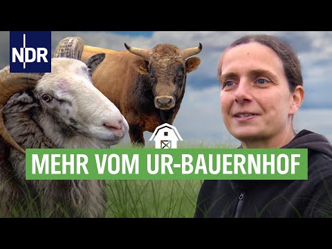 , title : 'Nichts bleibt wie es ist - ...auf dem Ur-Bauernhof | die nordstory | NDR'