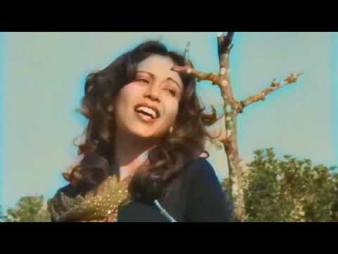 OFRA HAZA - Al Givot Sheich Abreik