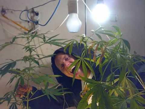 Sobota & Sage - Szczecin w grze